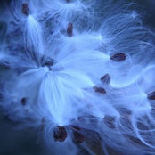 Photo de nyinthefall