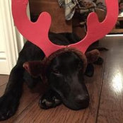 Karin Brown's photo