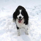 Erica Shnayder's photo