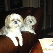 Anne Gush's photo