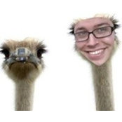 Cole Wilgus's photo