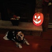 John Lens's photo