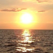 Dawn Ditmyers foto
