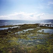 Chris Jun's photo