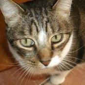 Helen Isca's photo