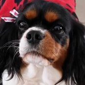 Katrina Hnath's photo