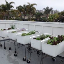 outdoor ideas