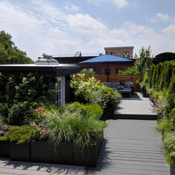 Park Slope Roof Garden Gets Makeover with Pergola and Decking