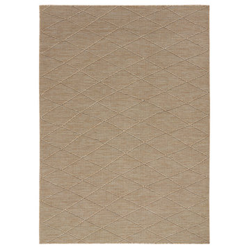 Nourison Practical Solutions 5' x 7' Natural Modern Area Rug