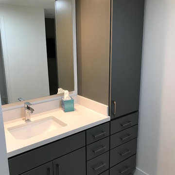 Dr. Glick Modern Kitchen Renovation