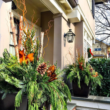 Winter Container Garden Design