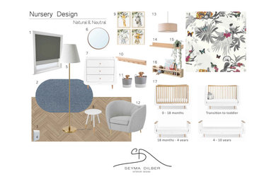 Nursery Design Project