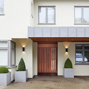 Ridge Front Door Design - Contemporary home