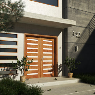 Contemporary Exterior Double Door, Mahogany, Laminated Glass