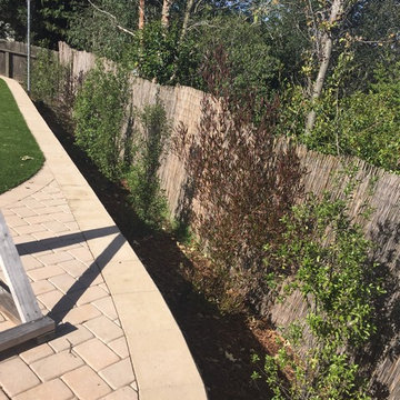 Spanish Oaks Drive Back Yard