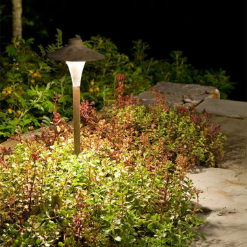 Landscape Lighting