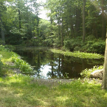 Pond Dredging