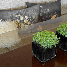 Decoración
