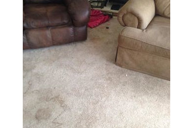 Before & After Carpet Cleaning in Allston, MA