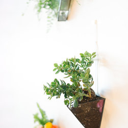 Floral Wall - Products