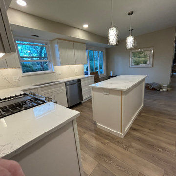 Modern Kitchen Renovation