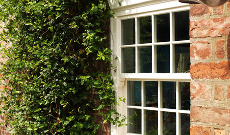 How to Repair and Maintain Sash Windows