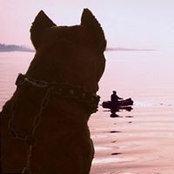 Elena Brabus's photo