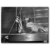 Tammi Jager's photo