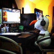 Paulo CN's photo