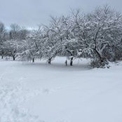 Katina Garduno-Roberts's photo