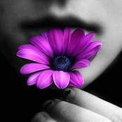 Teresa Stout's photo