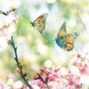 Manal Alsadhan's photo