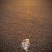 Foto von Jenny Johnson