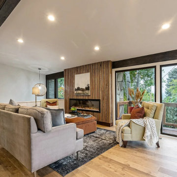 Living & Family Room Designs