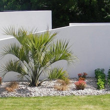 Contemporary garden