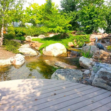Landscape Gallery