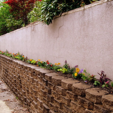 Annuals and Containers