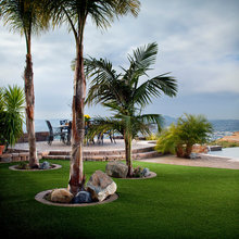 Pool Landscape