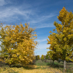 Farms - Gardening And Lawn Care