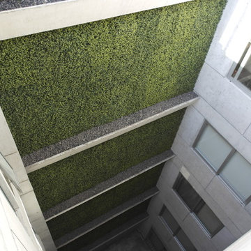 Ranka Lasting Greenery