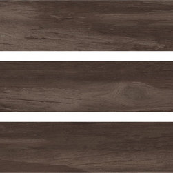 Tundra Caffe - Wall & Floor Tiles