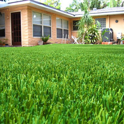 Residential Synthetic Turf Pictures - Outdoor Products