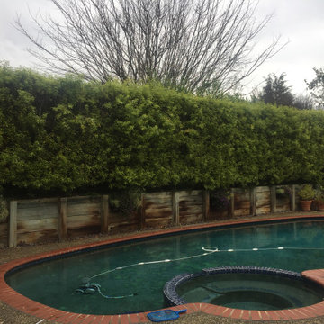 Poolside Privacy One Year Later!