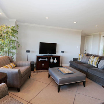 Contemporary Living Room Design