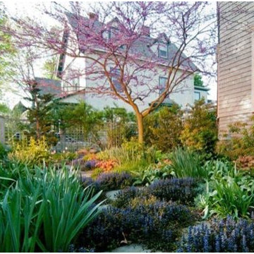 Perfect Palette, Brookline