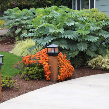 Marcia's front garden