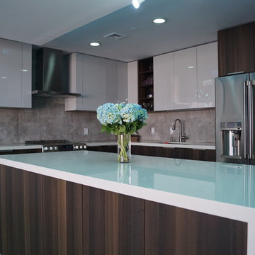 Modern Home Project
