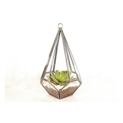 Geometric terrariums by Daring Flowers - Products