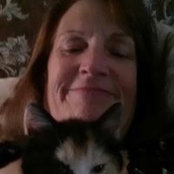 Pat Warden's photo