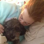 Karen Segall's photo